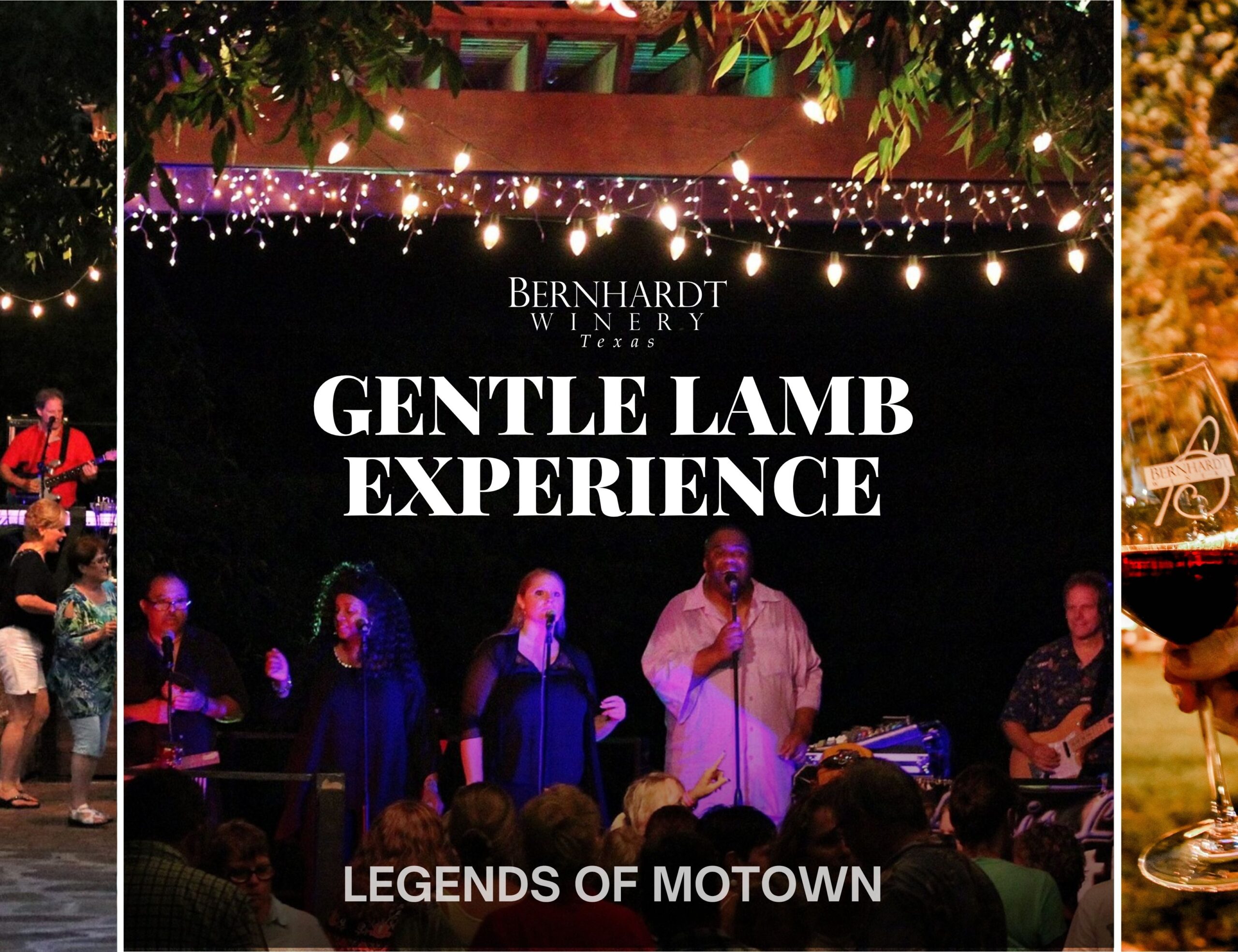 Gentle Lamb Experience
