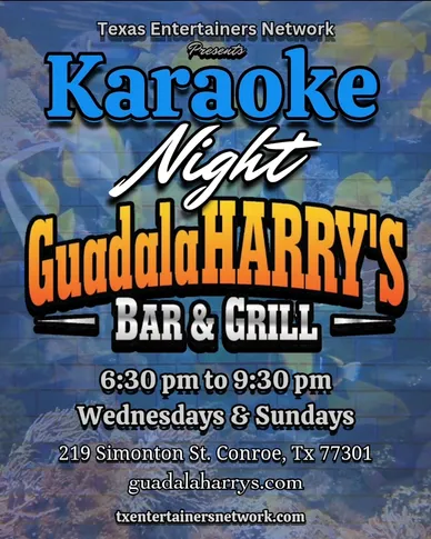 Karaoke Night